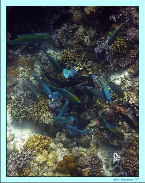 2012 - 07 - Palinton Sanctuary 14